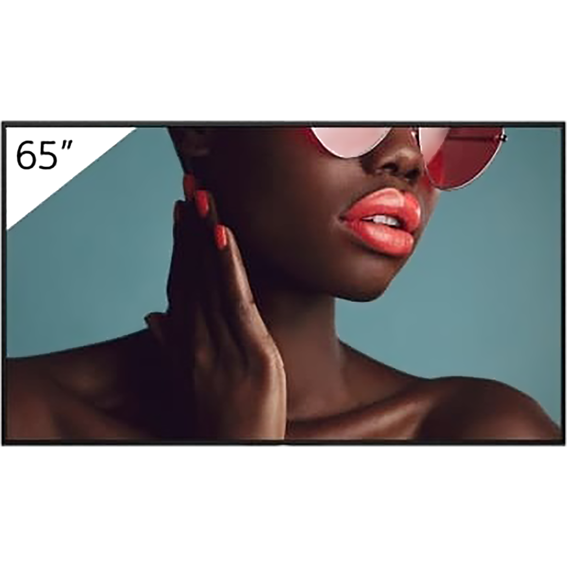LCD-Display BRAVIA 4K HDR Professional