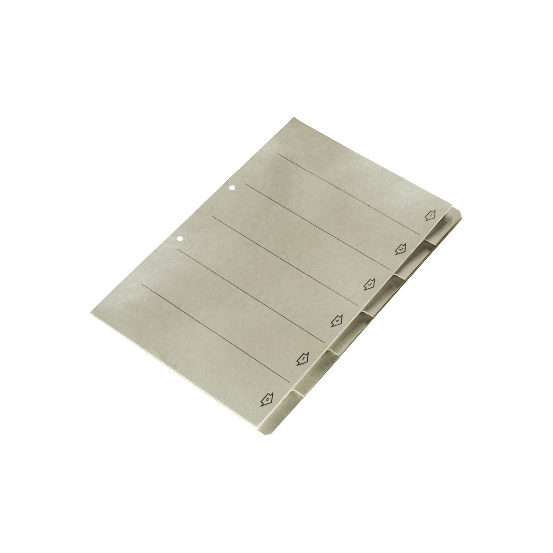 Kartonregister für Universal-Hängeregistratur