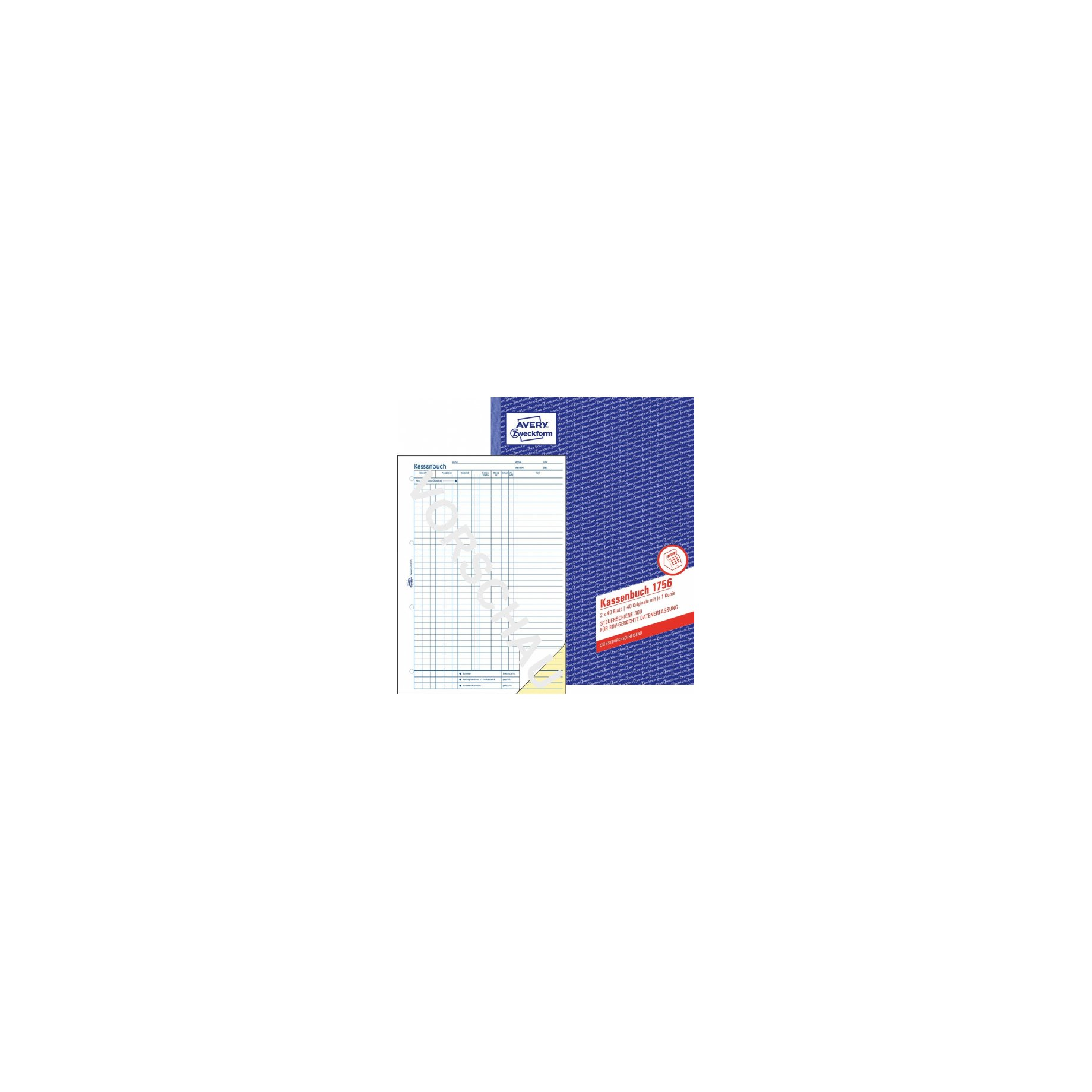Kassenbuch für EDV-gerechte Datenerfassung (Steuerschiene 300)