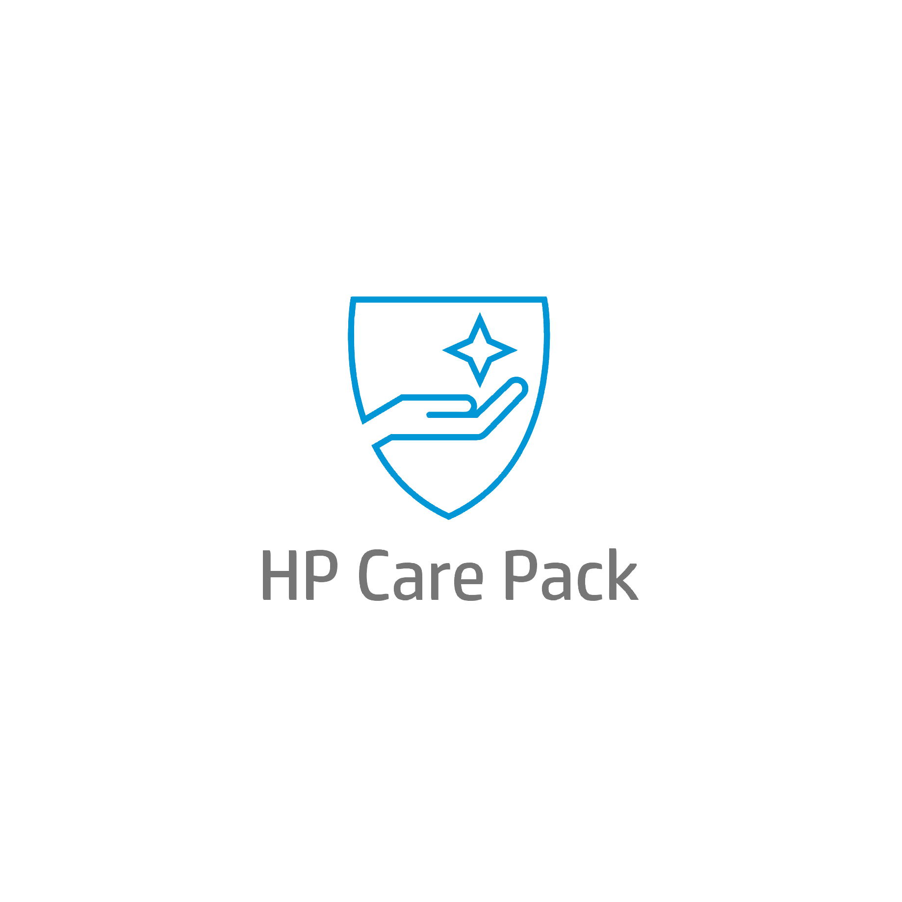 HP CarePack 5 Jahre Vor-Ort Service am nächsten Arbeitstag