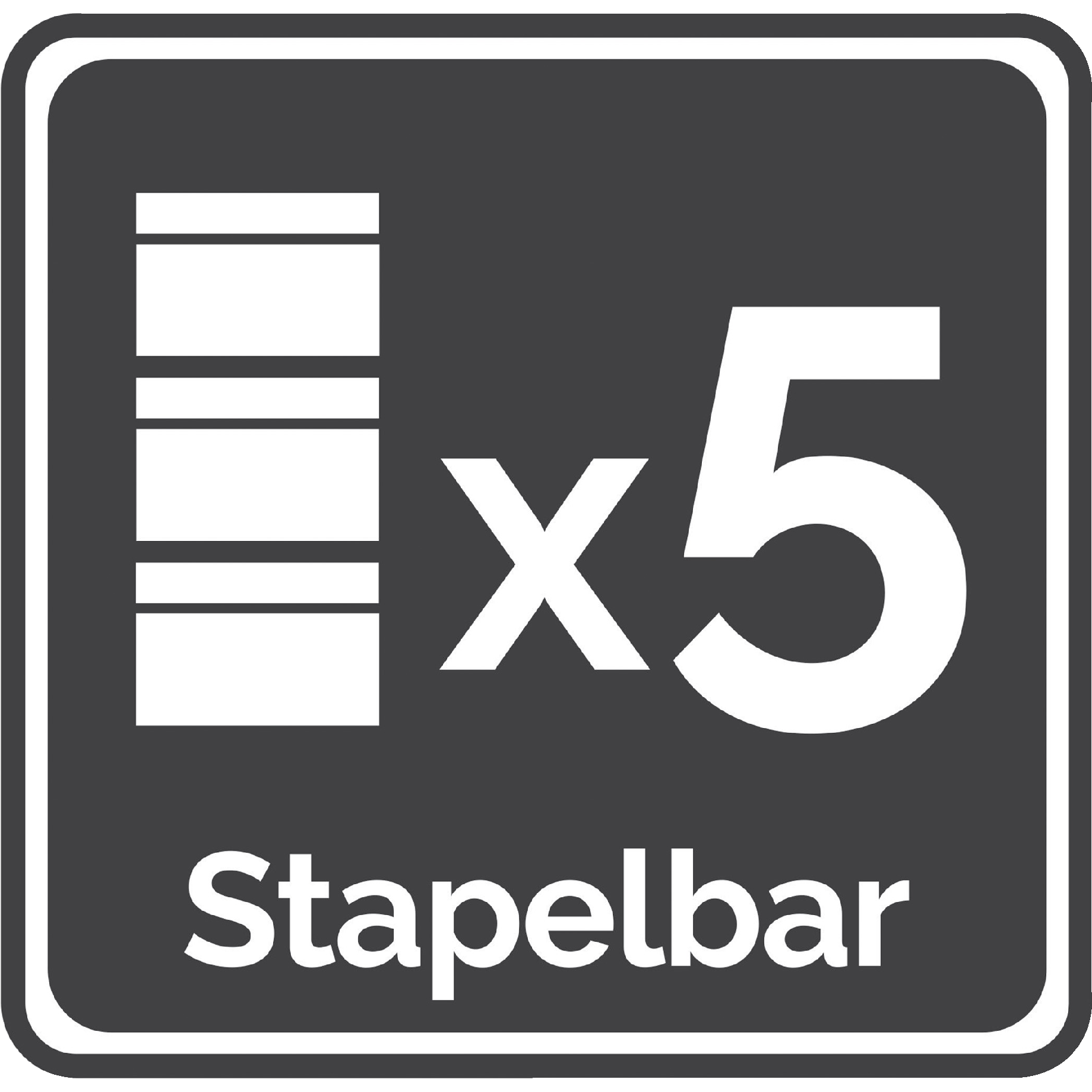 System Klappdeckelbox Maxi