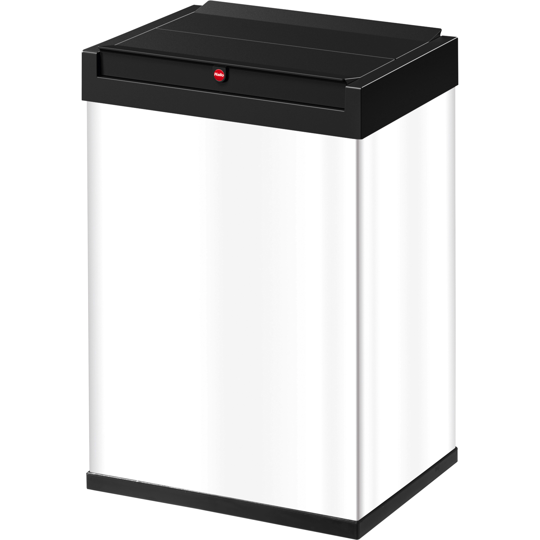 Abfallbox Big-Box Swing L