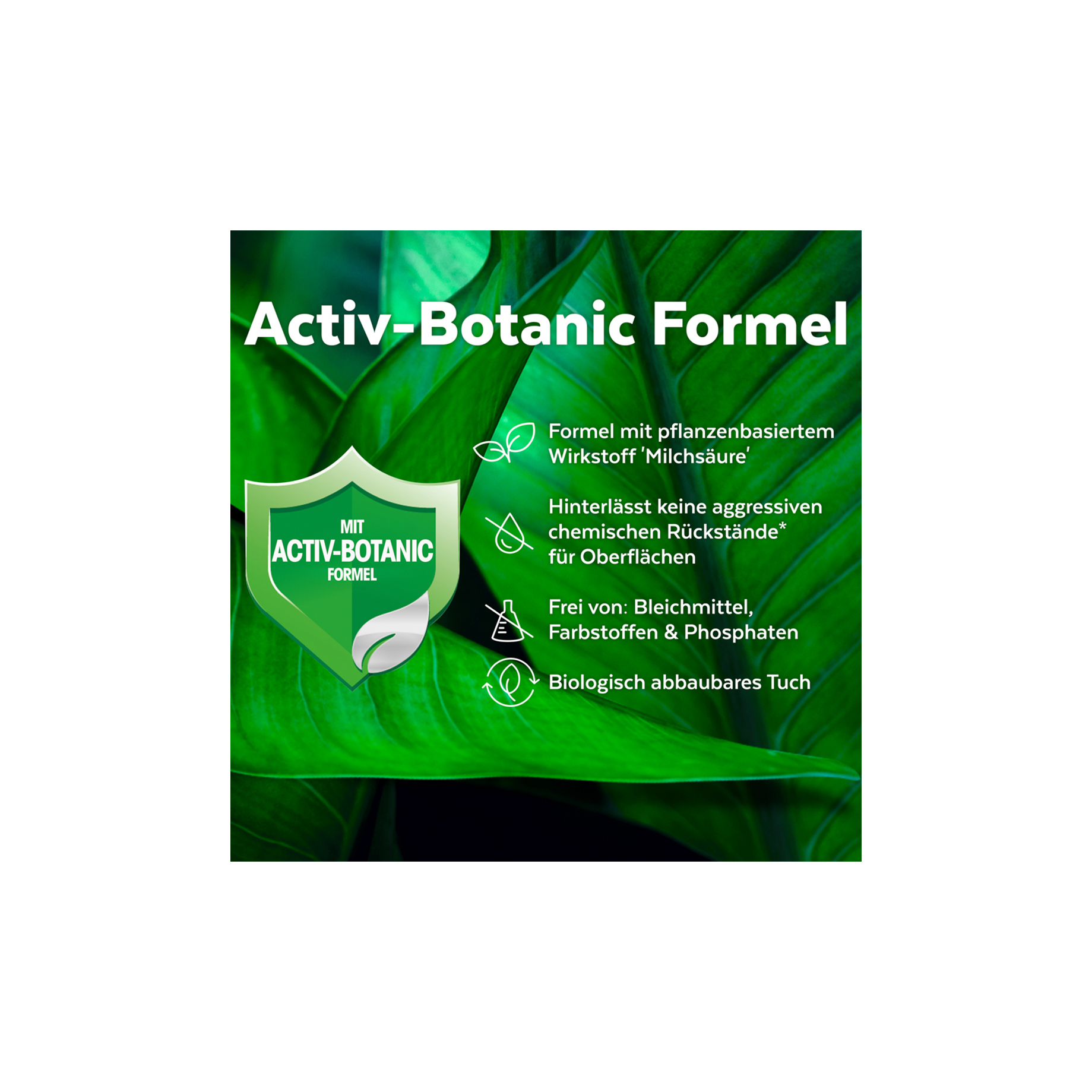 Werbung, Plakat, Blatt, Pflanze