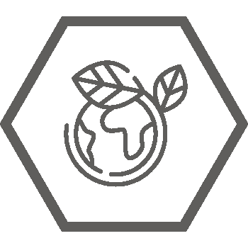 Icon%20Nachhaltigkeit.png