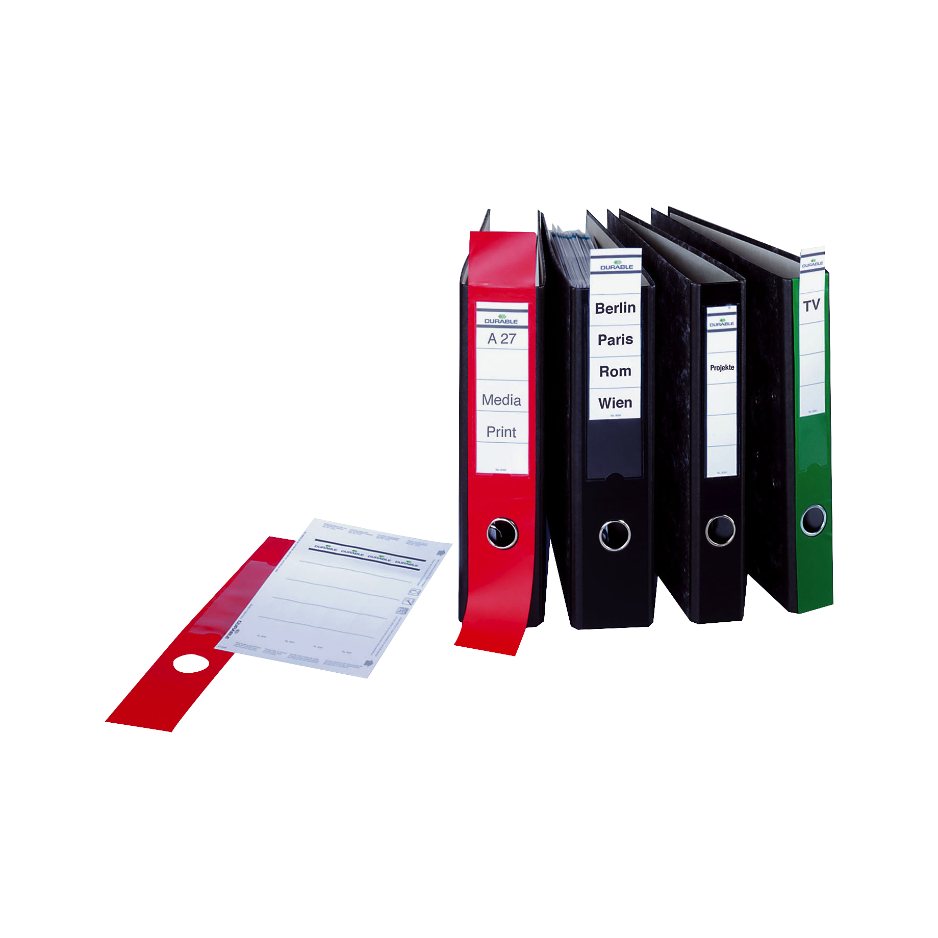 Rückenschild ORDOFIX®