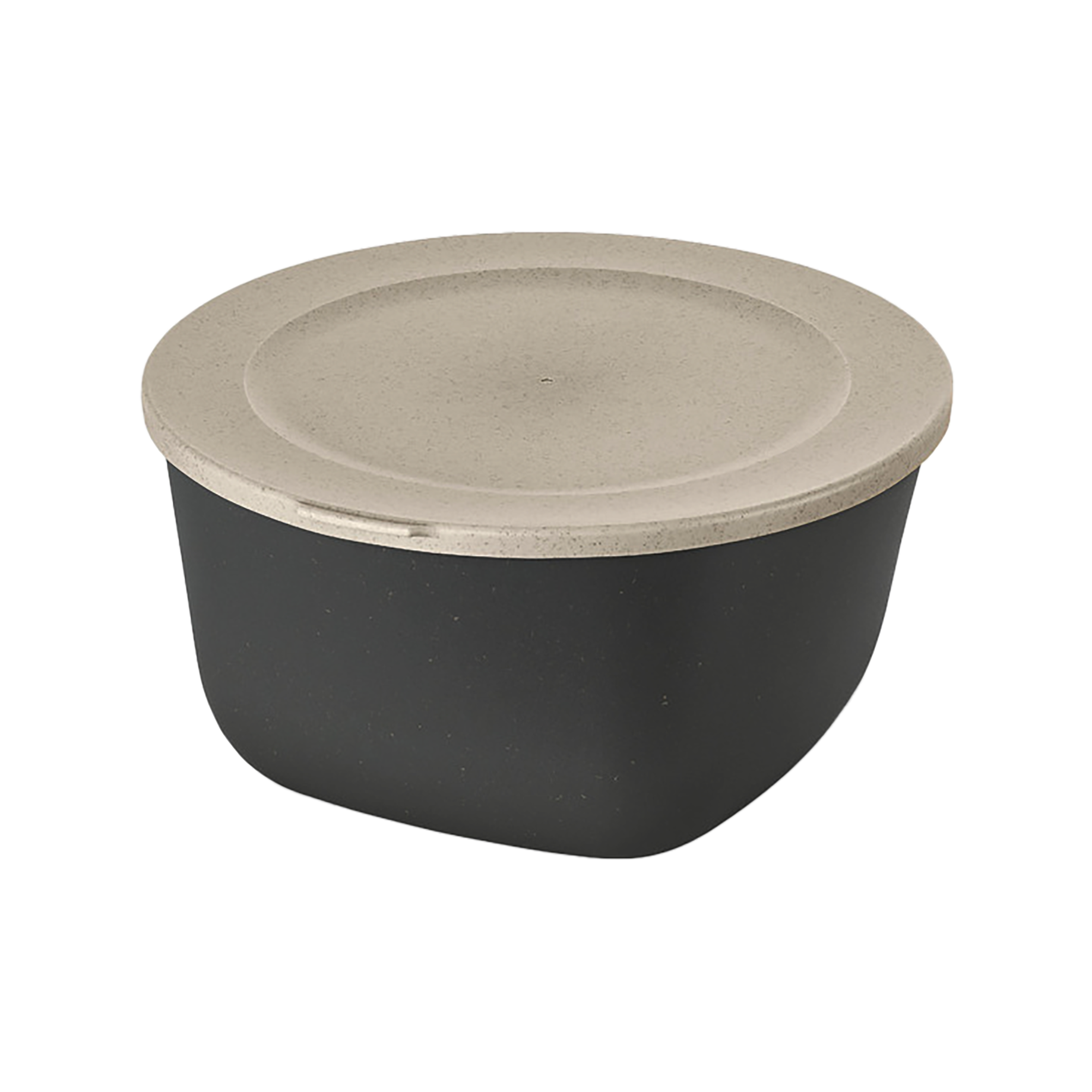 Frischhaltedose CONNECT BOX 4