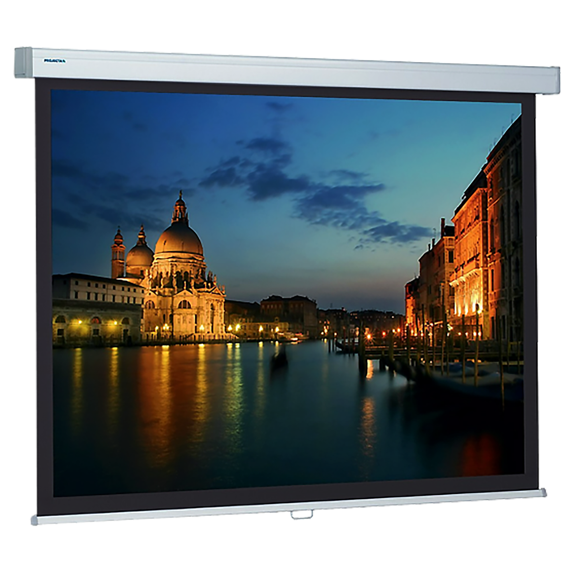 Projektionsleinwand Projecta ProScreen