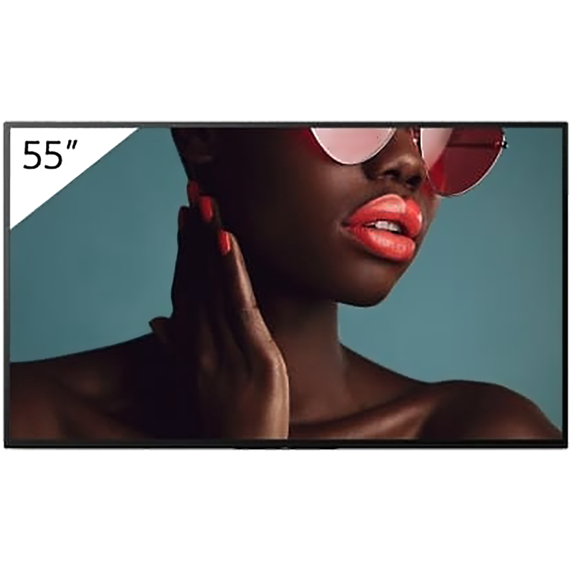 LCD-Display BRAVIA 4K HDR Professional