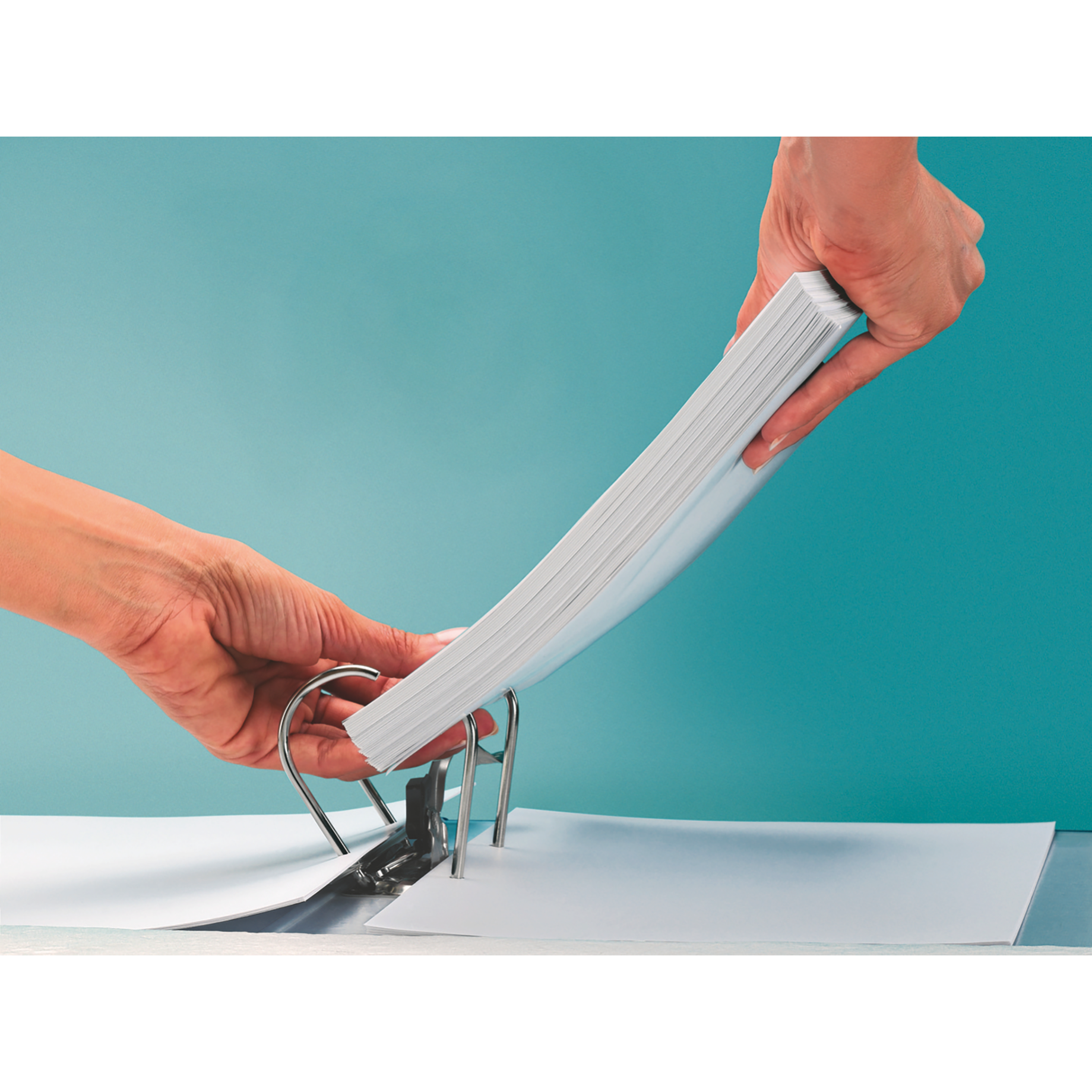 Qualitäts-Ordner Papier