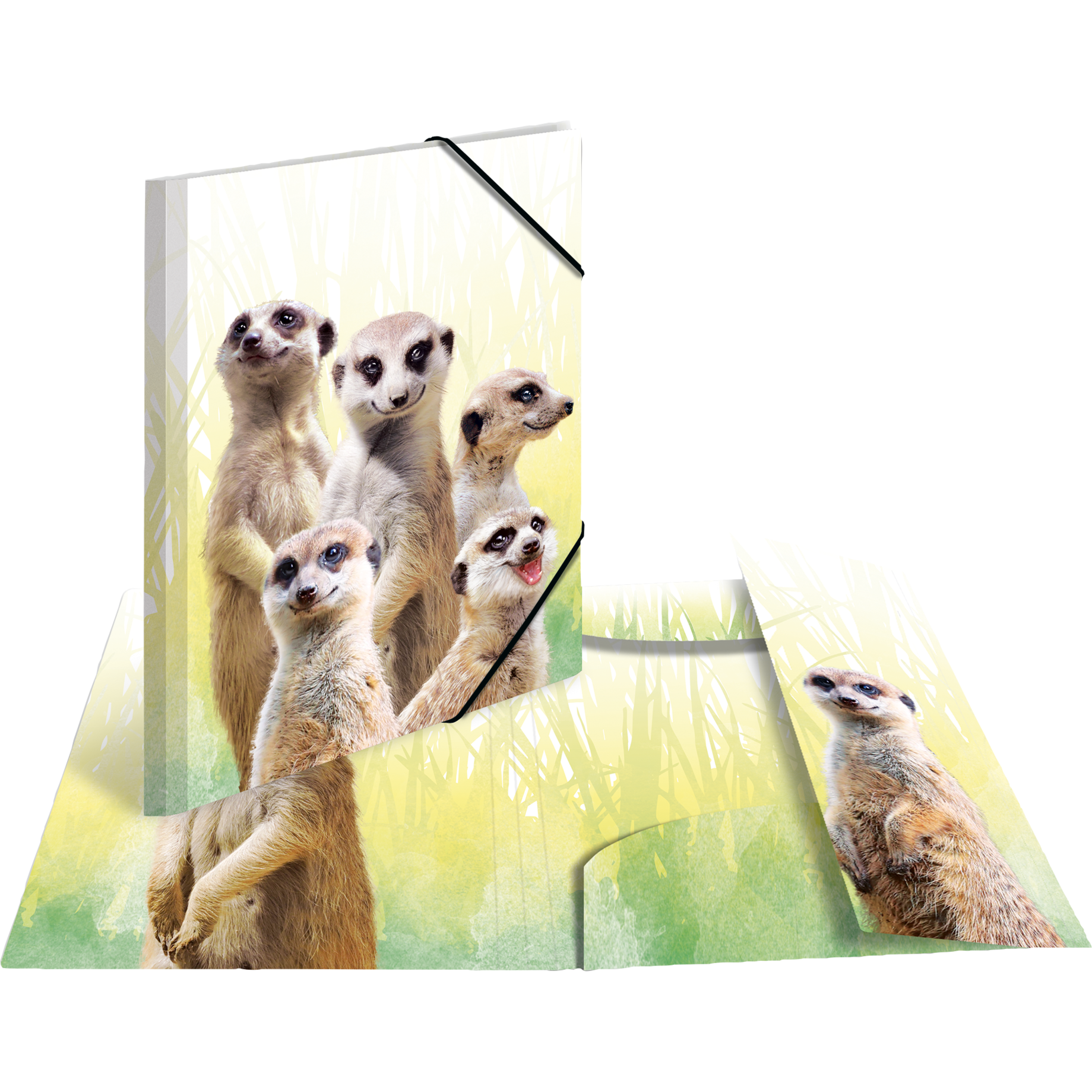 Tier, Tierwelt, Säugetier, Erdmännchen, Hund