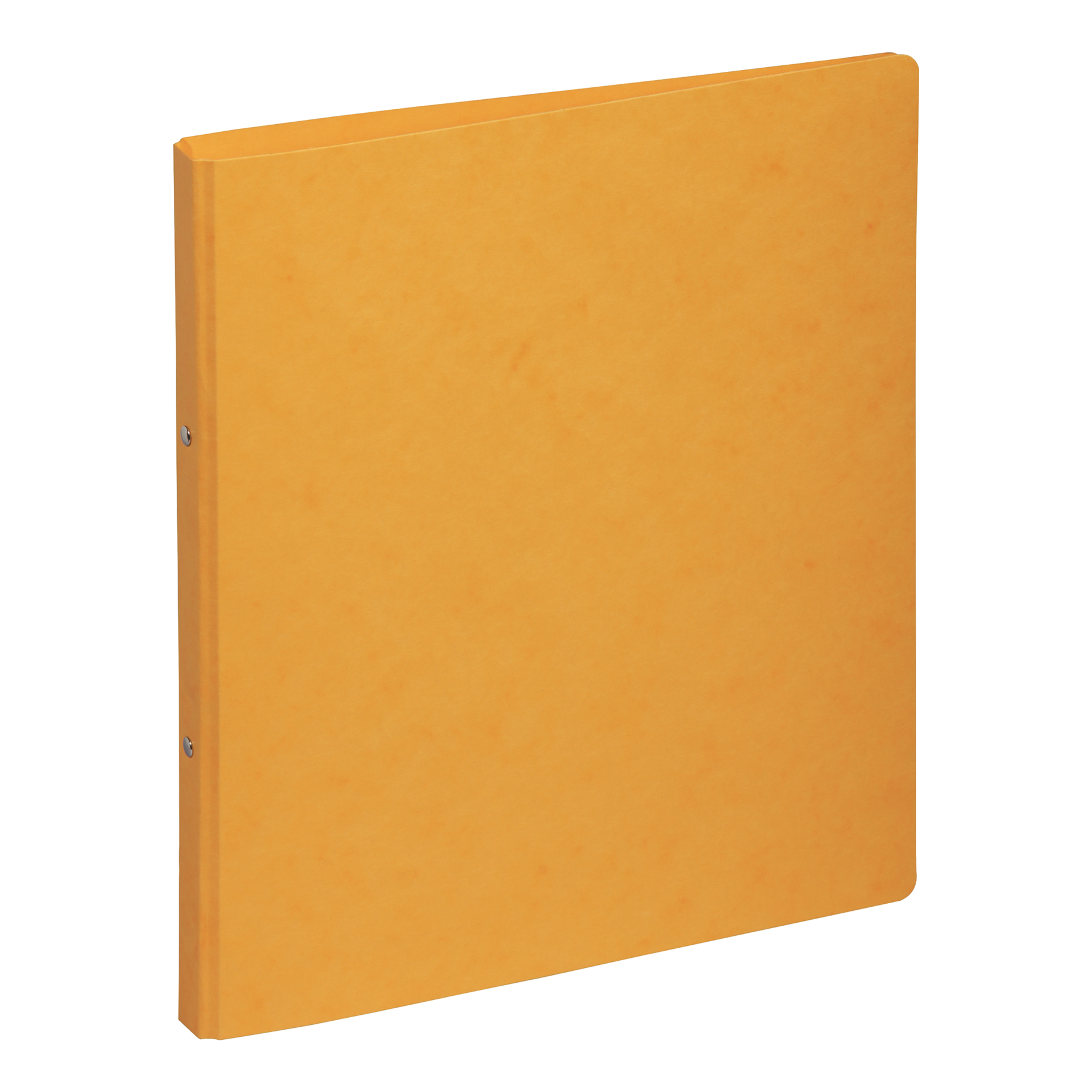 Ringbuch A4, 2 Ringe