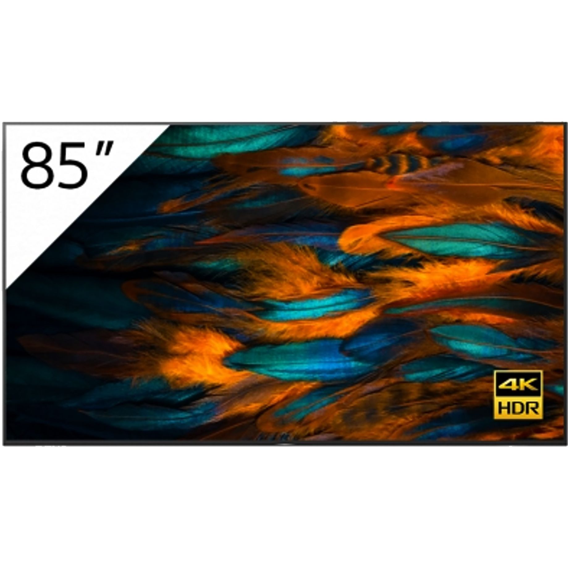 4K-Display BRAVIA HDR FW-Serie